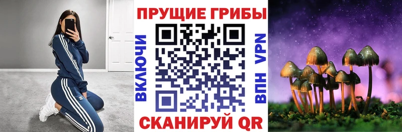 даркнет сайт  Усинск  Галлюциногенные грибы Psilocybe 